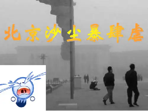 环境污染ppt