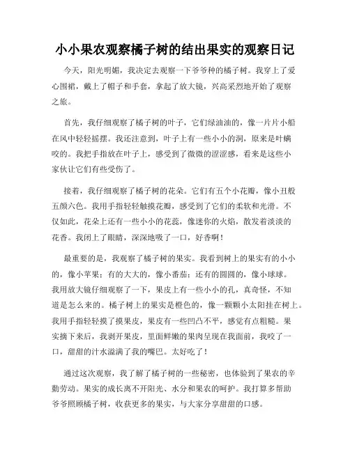 小学三年级作文小小果农观察橘子树的结出果实的观察日记