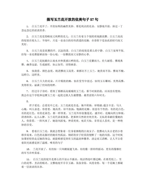 描写玉兰花开放的优美句子57句