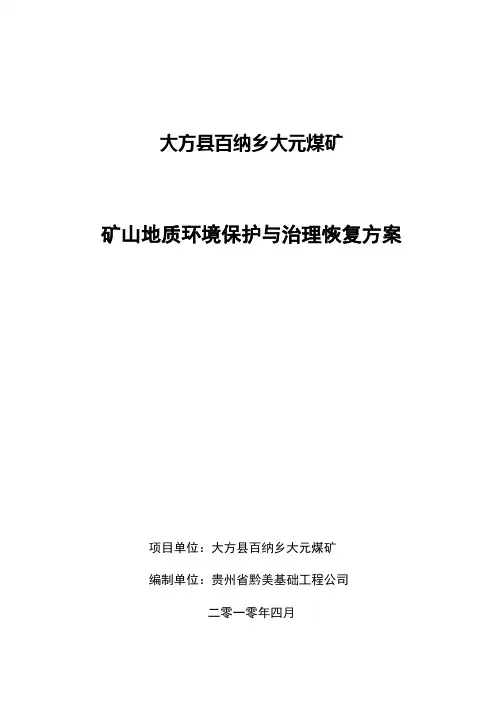 大方县百纳乡大元煤矿矿山地质环境保护与治...