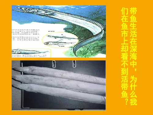 北师大物理八年级下册第8章2液体内部的压强(共23张PPT)