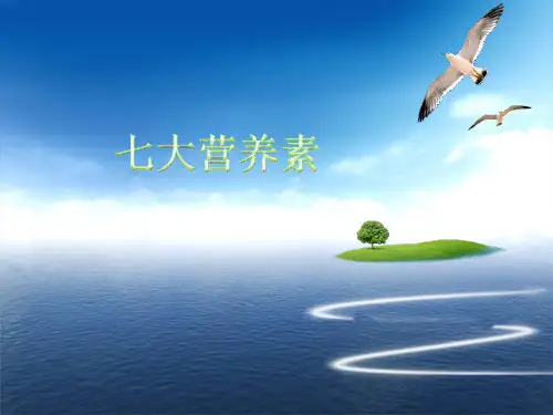 人体必须的七大营养素分析