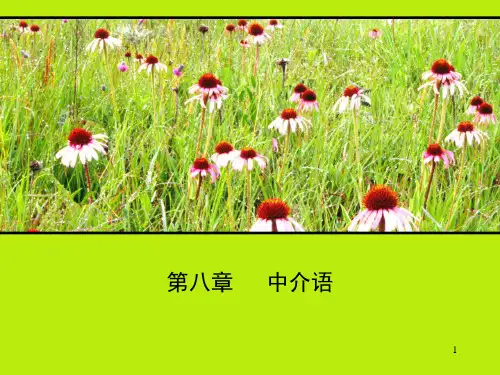 第八章---中介语