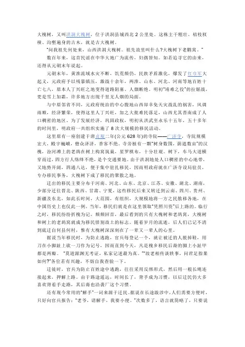 大槐树