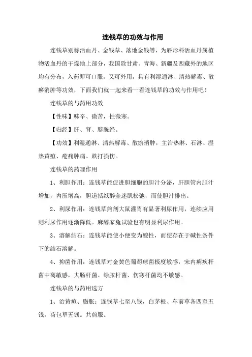 连钱草的功效与作用