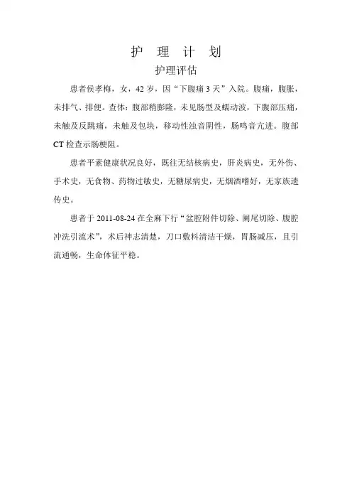 肠梗阻护理计划