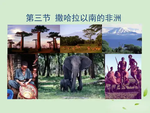 人教版课件《撒哈拉以南的非洲》优秀课件1