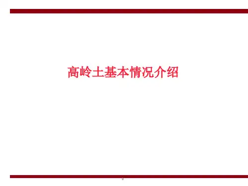 高岭土情况简介