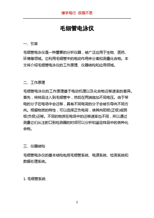毛细管电泳仪