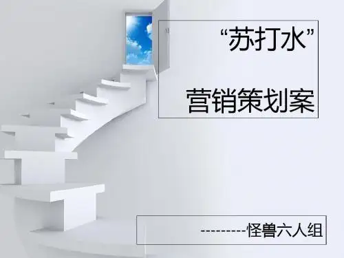 “苏打水”营销策划案