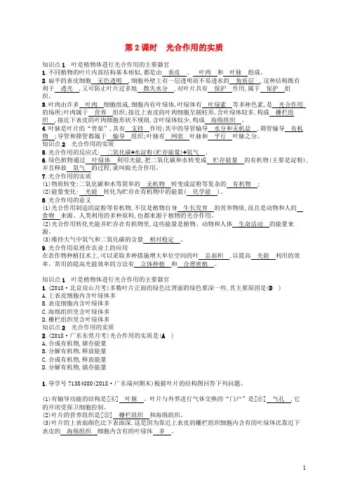 七年级生物上册  光合作用练习 北师大版