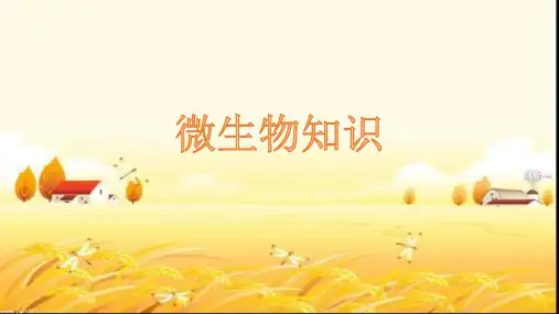 微生物知识培训 PPT