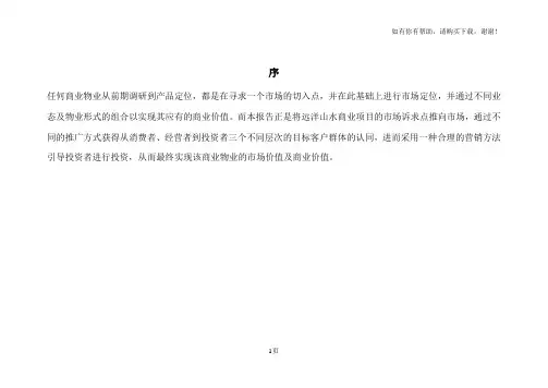 北京远洋山水商业项目营销推广报告