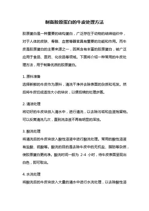 制备胶原蛋白的牛皮处理方法