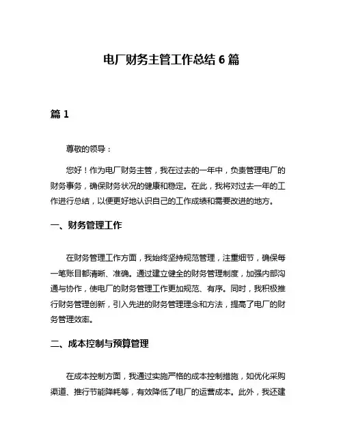 电厂财务主管工作总结6篇