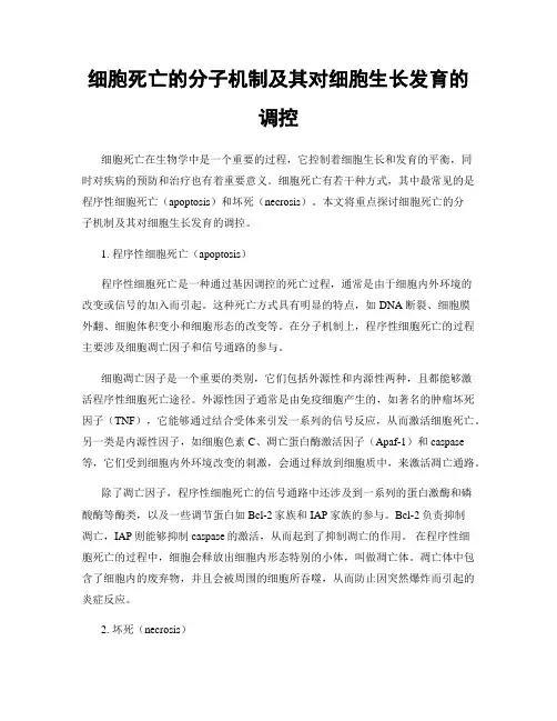 细胞死亡的分子机制及其对细胞生长发育的调控