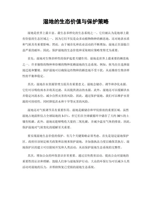 湿地的生态价值与保护策略