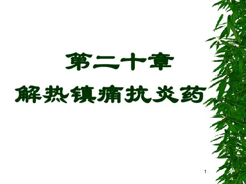 第二十章   解热镇痛抗炎药PPT课件