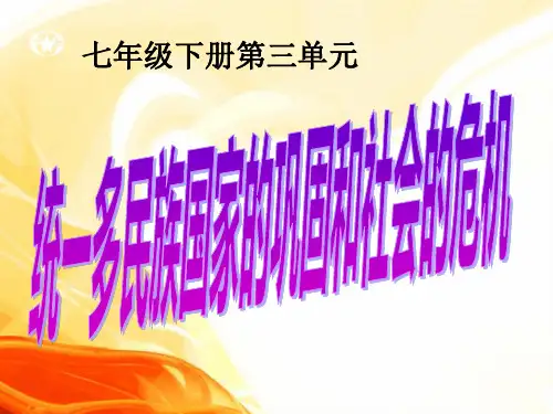 统一多民族国家的巩固和社会的危机