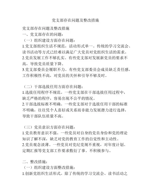 党支部存在问题及整改措施
