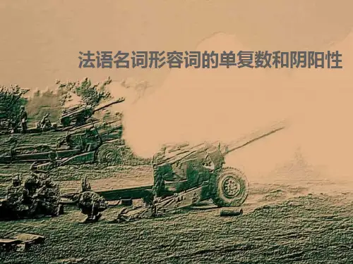法语名词形容词的单复数和阴阳性
