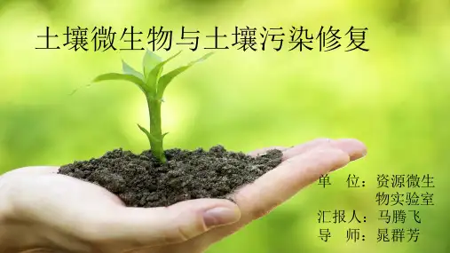 土壤微生物与土壤污染修复 ppt课件