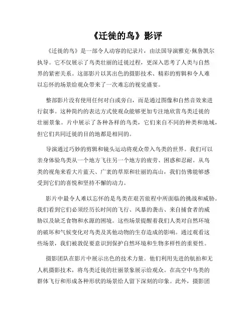 《迁徙的鸟》影评