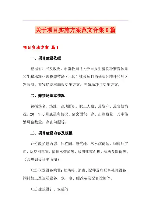 关于项目实施方案范文合集6篇