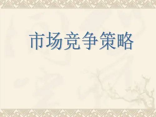 竞争对手分析精品PPT课件