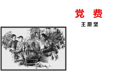 《党费》课件33张2021-2022学年高中语文统编版选择性必修中册