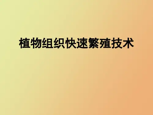 植物组织快繁技术