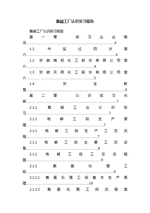 氯碱工厂认识实习报告