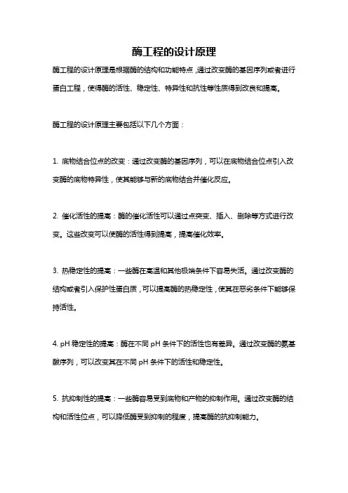 酶工程的设计原理