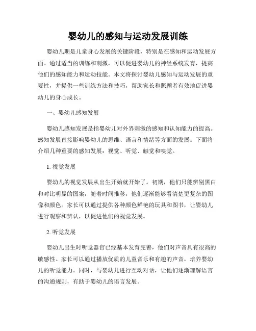 婴幼儿的感知与运动发展训练