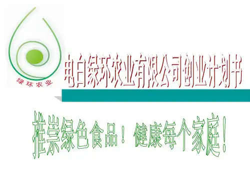 挑战杯PPT(1)