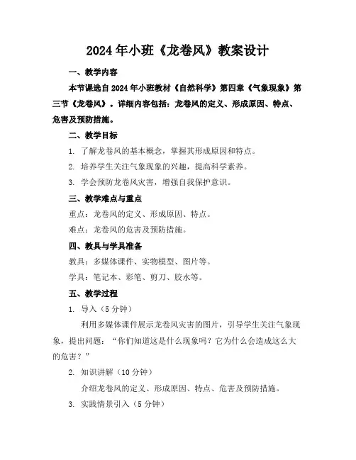 2024年小班《龙卷风》教案设计