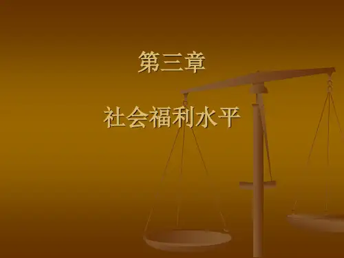 社会福利第三章 社会福利水平