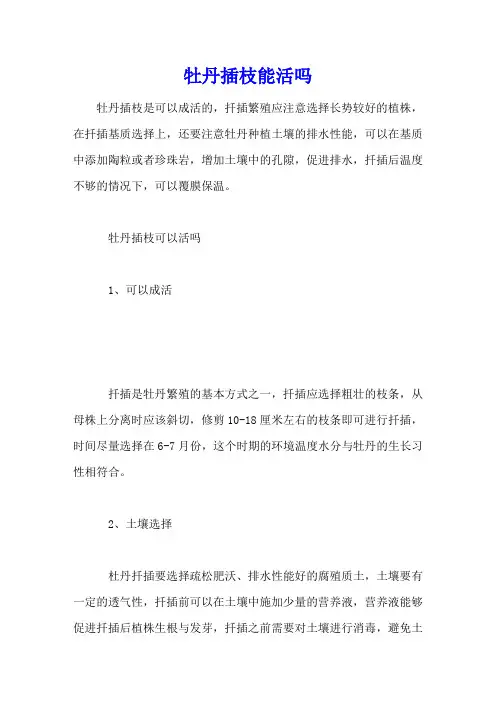 牡丹插枝能活吗