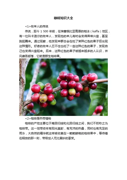咖啡知识大全