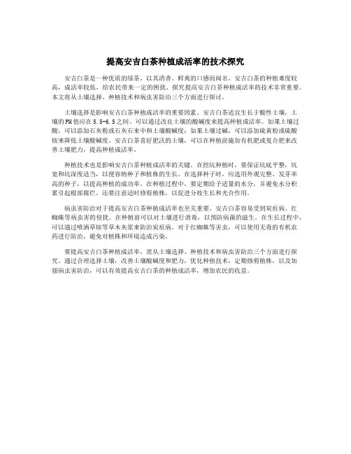 提高安吉白茶种植成活率的技术探究