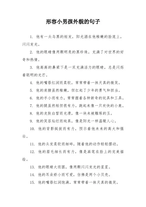 形容小男孩外貌的句子