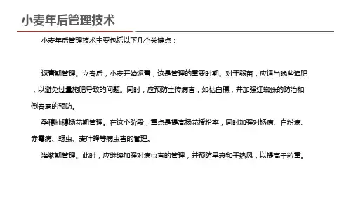 小麦年后管理技术