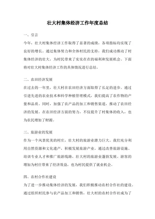 壮大村集体经济工作年度总结