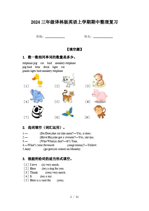 2024三年级译林版英语上学期期中整理复习