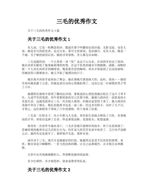 三毛的优秀作文