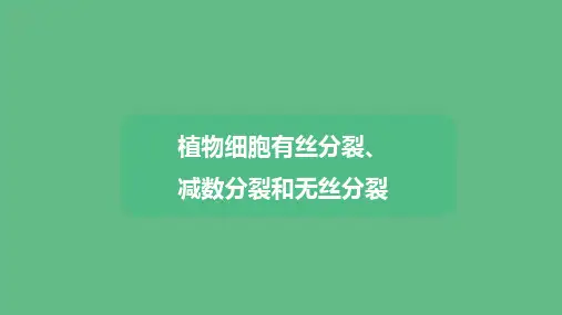 4.1.2植物细胞的有丝分裂减数分裂和无丝分裂课件高一上学期生物必修1