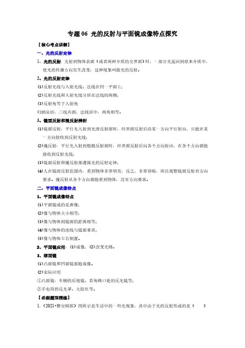 (中考物理必刷题)专题06 光的反射与平面镜成像特点探究(解析版)
