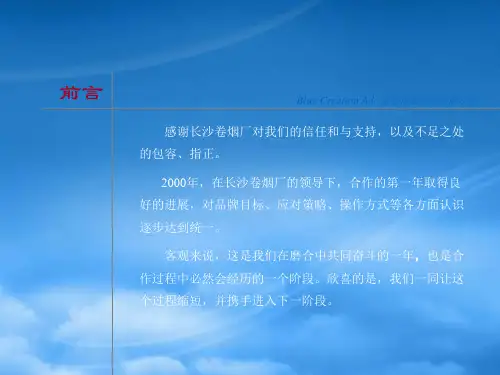 白沙品牌整合营销传播方案