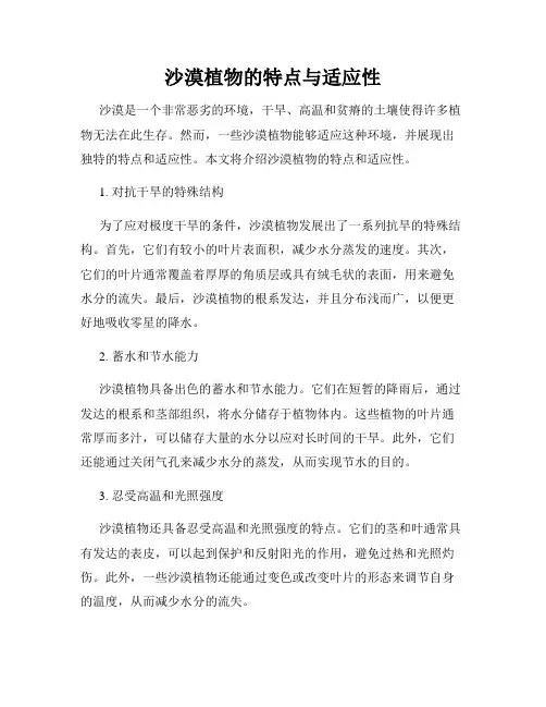 沙漠植物的特点与适应性