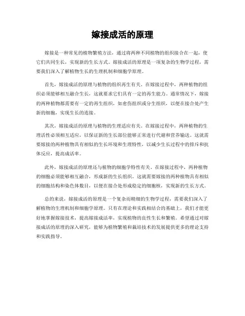 嫁接成活的原理